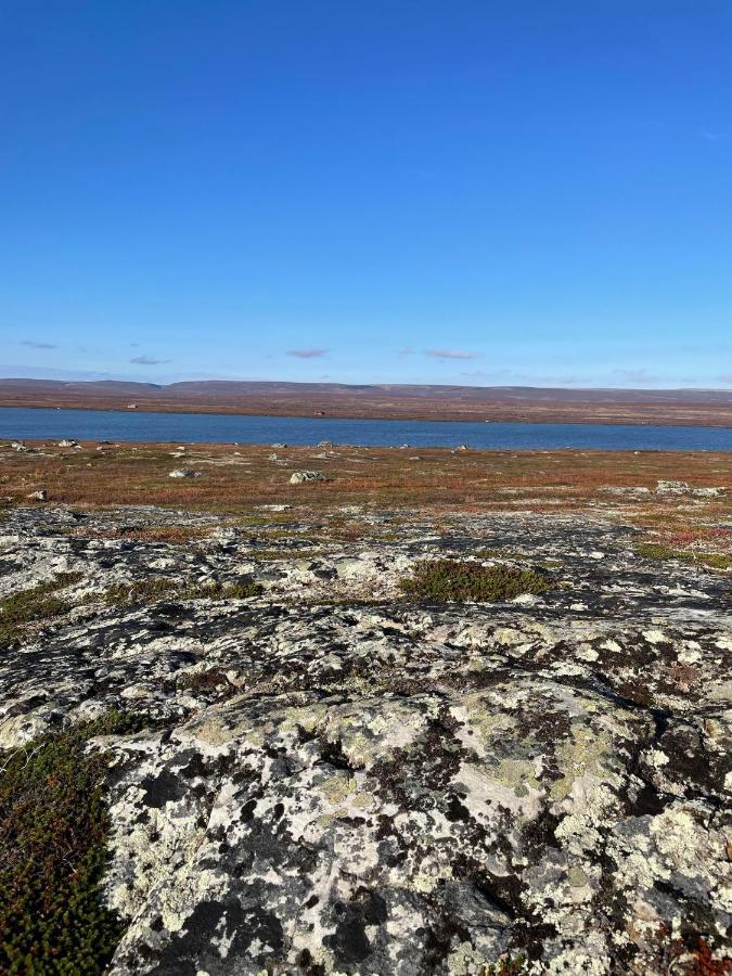 Ekkeroy Lodge - Arctic Living Vadsø Esterno foto